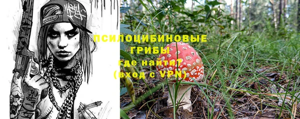 2c-b Ладушкин