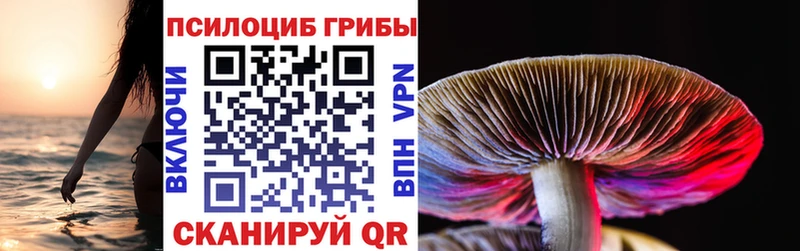 Псилоцибиновые грибы Magic Shrooms  купить закладку  Устюжна 
